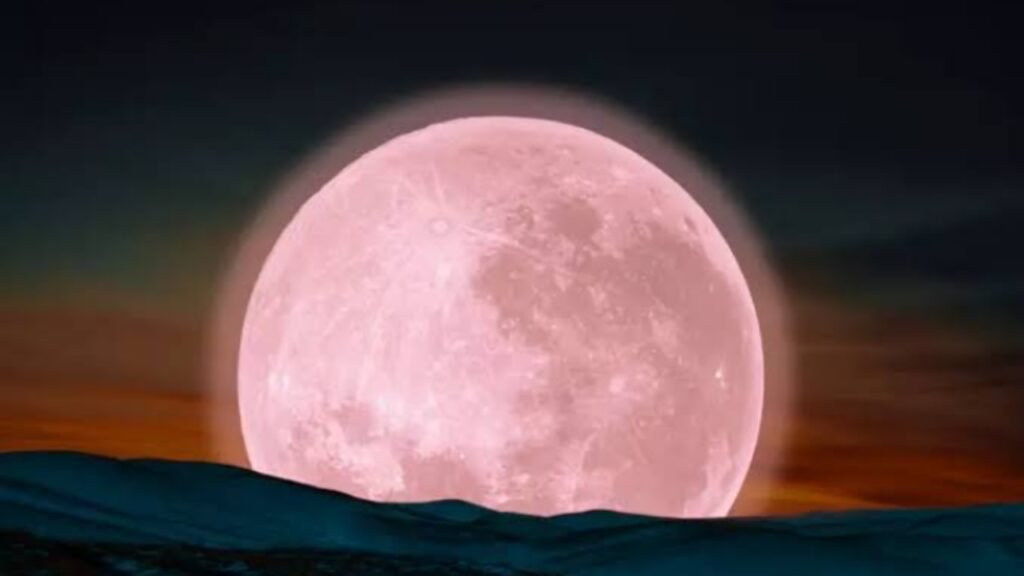 Ilustrasi flower moon di mei mendatang (.inet)