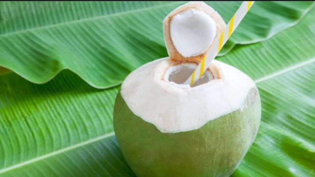 Ilustrasi air kelapa yang berdampak pada penderita diabetes (.inet)