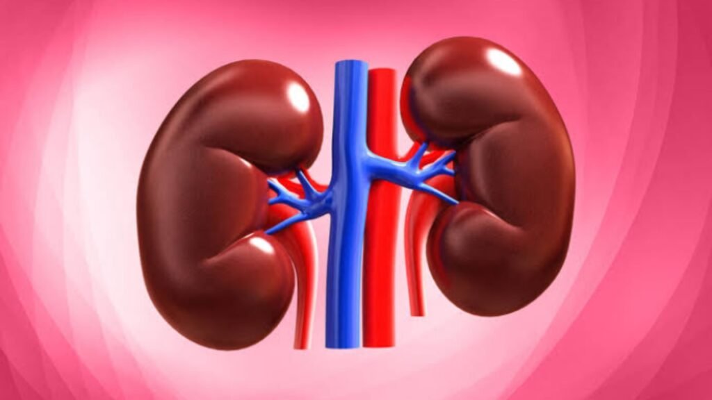 Ilustrasi 5 gejala ginjal rusak (.inet)