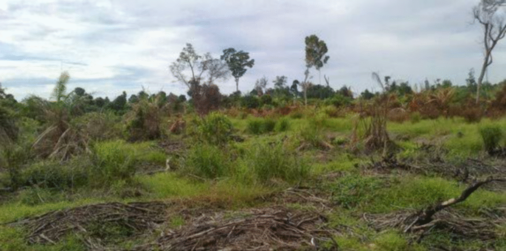 Ilustrasi himbauan untuk lindungi tanah agar tidak di gusur ormas (.inet)