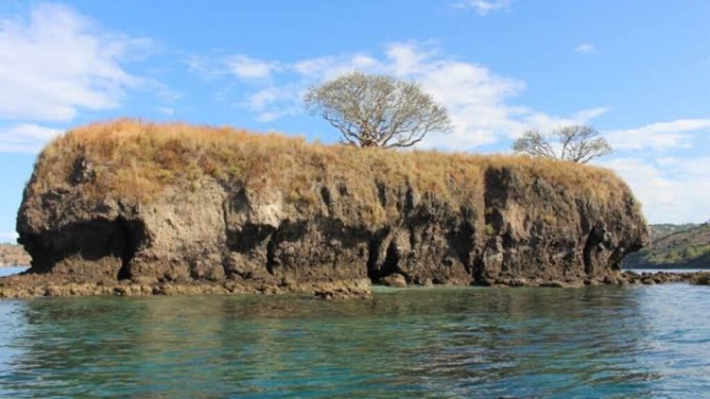 Ilustrasi pulau ular di bima yang hanya di huni oleh ular (.inet)