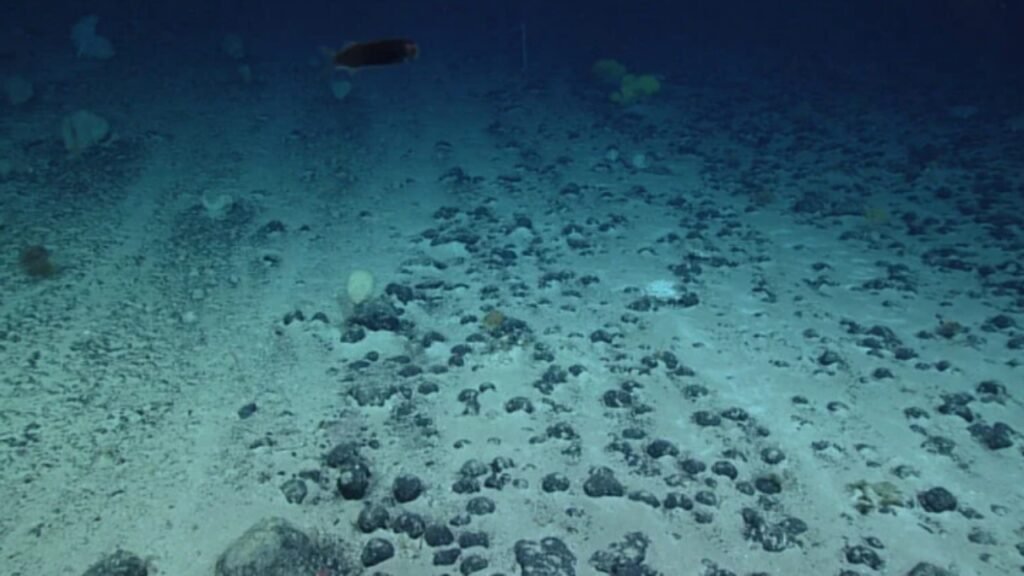 Ilustrasi tambang laut yang perlukan aturan karena tak seperti 'wild west' (.inet)