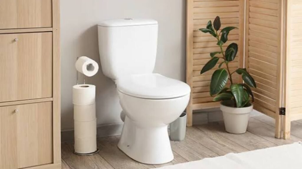 Tangki Toilet Kotor Bisa Jadi Sarang Karat dan Jamur Ilustrasi tangki toilet yang harus rutin dibersihkan (.inet)