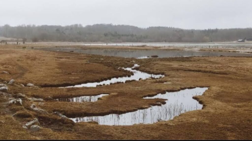 Ilustrasi bmkg yang himbau petani agar waspada terhadap kemarau basah (.inet)